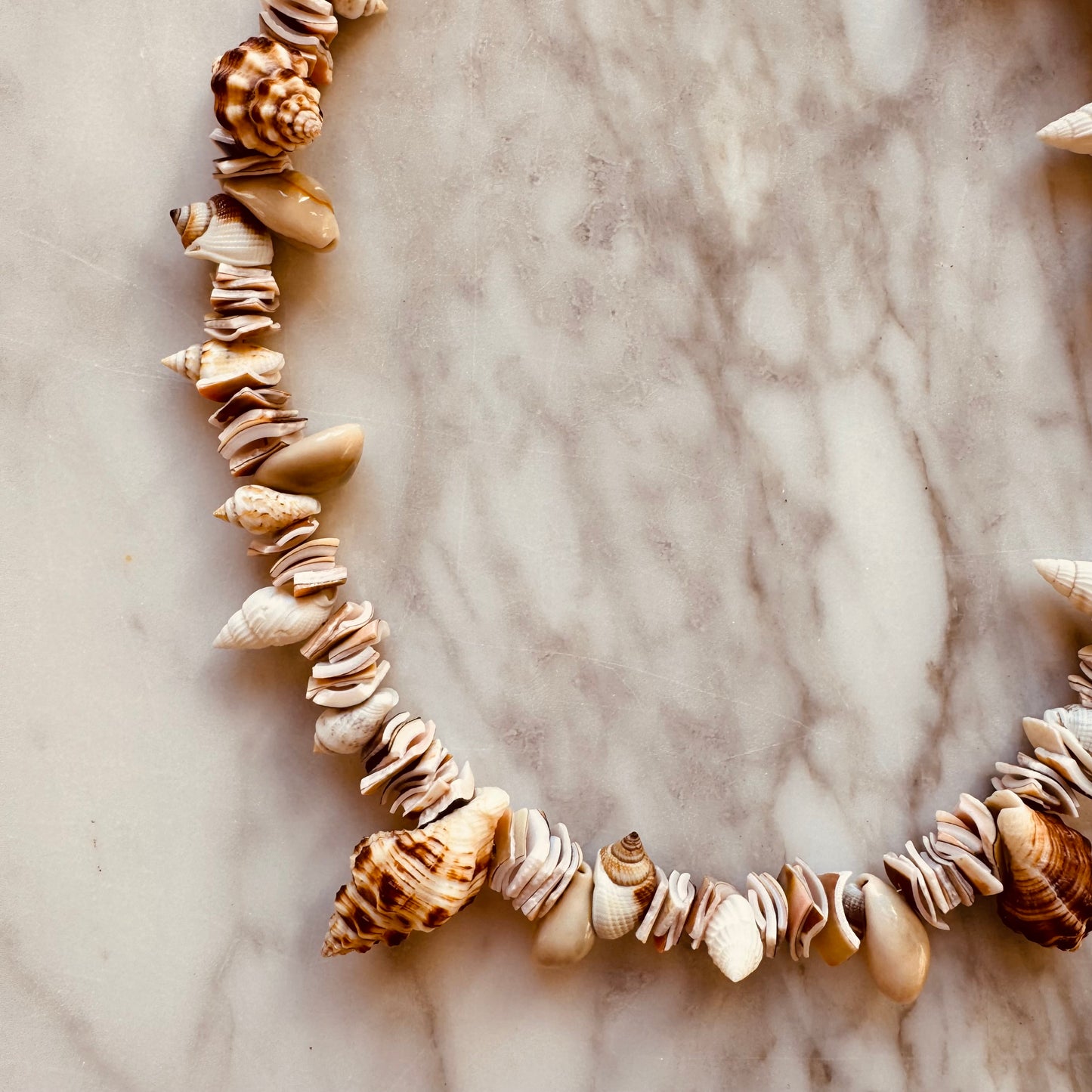 NECKLACE MULTI SHELLS